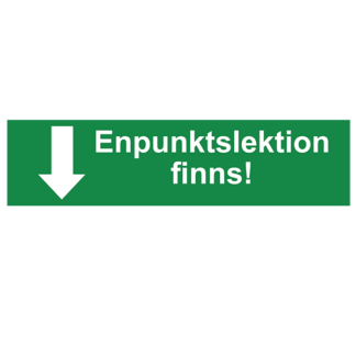 Enpunktslektion